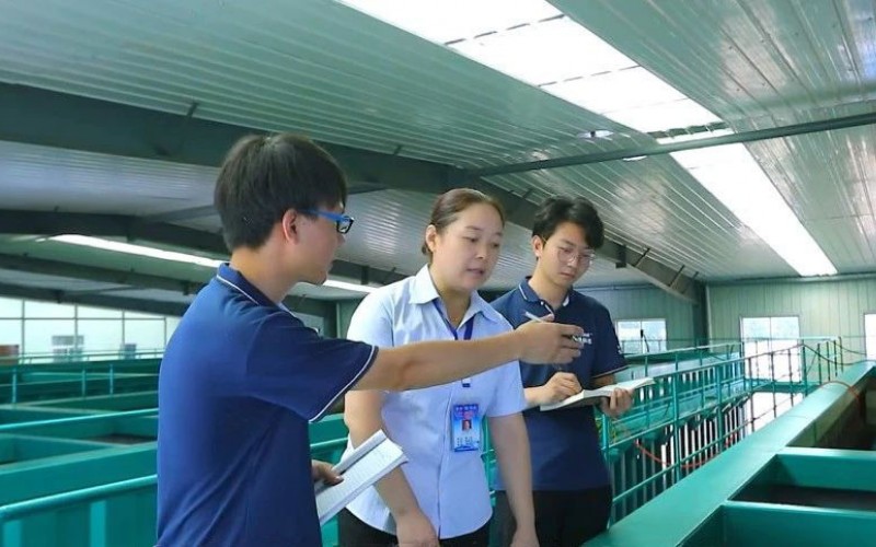 環(huán)境、給排水設(shè)計工程師